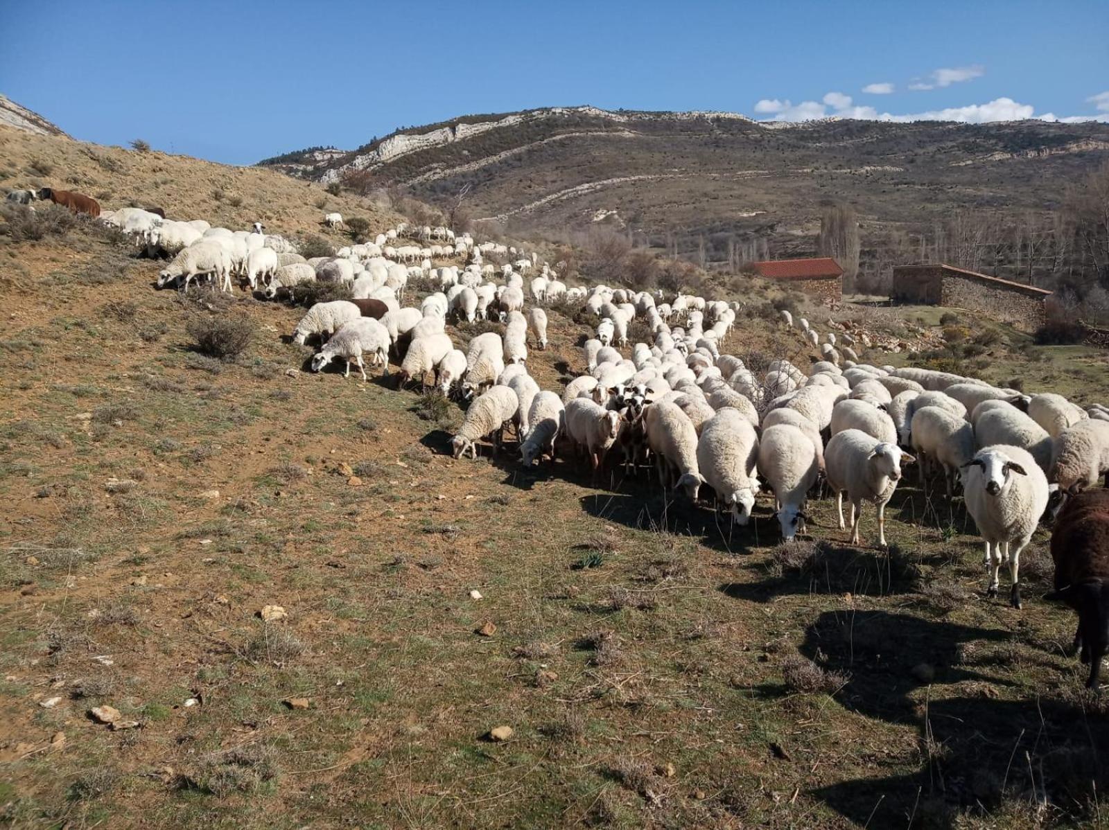 Casa Rural Chulilla Villarroya de los Pinares Екстериор снимка