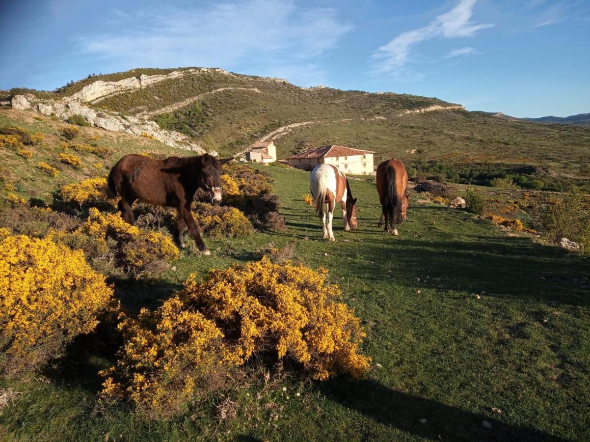 Casa Rural Chulilla Villarroya de los Pinares Екстериор снимка